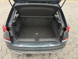 Skoda Kamiq 1.0 TSI Ambition picture 11