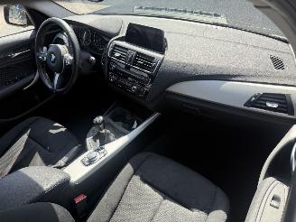 BMW 1-serie 116i Centennial Executive picture 15