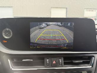 Lexus ES 300h Business Line picture 20