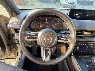 Mazda MX-30 e-SkyActiv R-EV 170 Makoto picture 16
