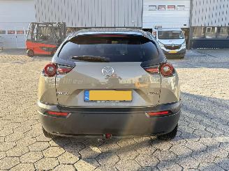 Mazda MX-30 e-SkyActiv R-EV 170 Makoto picture 5