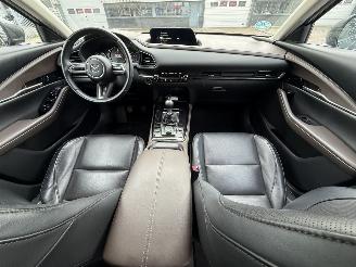 Mazda CX-30 2.0 e-SkyActiv-X M picture 10
