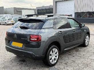 Citroën C4 cactus 1.2 PureTech Business picture 4
