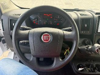 Carado  2.3 Capron A 464 96KW picture 19