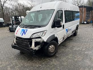 Avarii auto utilitare Fiat Ducato 2.3 MAXI PKW 9 PERSOONS  PLUS INVALIDE LIFT. 2018/8
