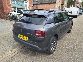 Citroën C4 cactus 1.2 pre tech shine automaat picture 4