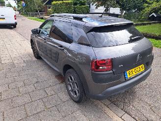 Citroën C4 cactus 1.2 pre tech shine automaat picture 5