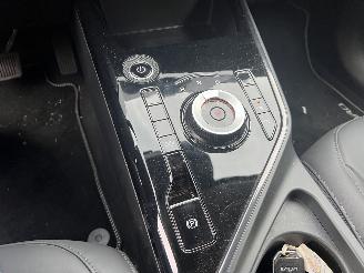 Kia Niro EV DYNAMIC-LINE 64.8 KWH picture 20
