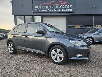 ocasión turismos Skoda Fabia 1.2 TSI Ambition AUTOMAAT CRUISE PDC 2016/11