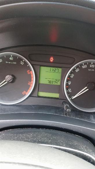 Skoda Fabia Combi 1.6-16V Ambiente Business AUTOMAAT PDC picture 11