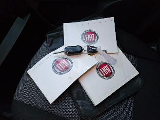 Fiat Doblo Cargo 1.3 MultiJet AIRCO TREKHAAK MARGE picture 7