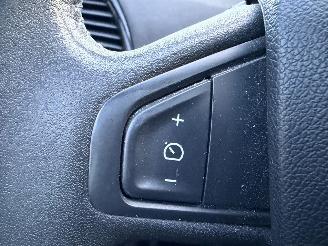 Renault Grand-scenic 2.0 Dynamique AUTOMAAT PANORAMA CRUISE picture 19