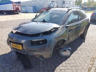 Citroën C4 cactus 1.2 PureTech 82 12_V (0PHMZ) picture 2