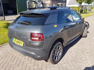 Citroën C4 cactus 1.2 PureTech 82 12_V (0PHMZ) picture 3