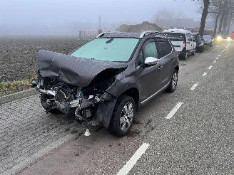 Peugeot 2008 1.2 Vti picture 2
