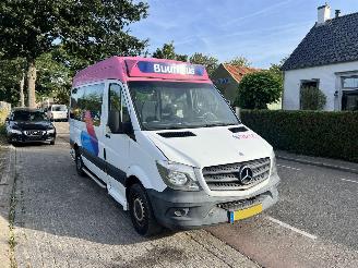 Schade bestelwagen Mercedes Sprinter 313 Cdi Personenbus 2014/9