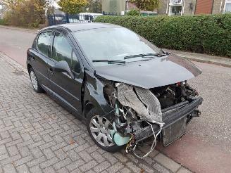 disassembly passenger cars Peugeot 207  2007/1