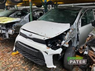 Salvage car Kia Picanto  2018/11
