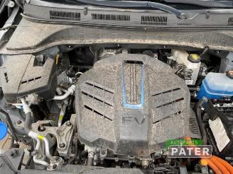 Hyundai Kona Kona (OS), SUV, 2017 / 2023 64 kWh picture 11