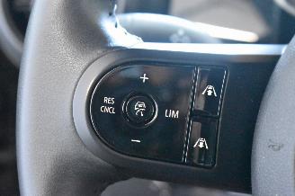 Mini Electric  picture 21