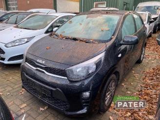 Vrakbiler auto Kia Picanto Picanto (JA), Hatchback, 2017 1.0 DPi 12V 2023/9