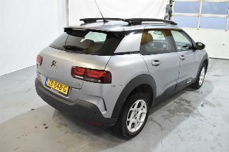 Citroën C4 cactus 1.2 PT Business picture 15
