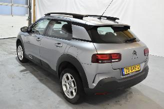 Citroën C4 cactus 1.2 PT Business picture 13