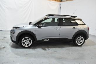 Citroën C4 cactus 1.2 PT Business picture 12
