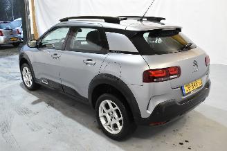 Citroën C4 cactus 1.2 PT Business picture 5