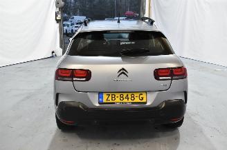 Citroën C4 cactus 1.2 PT Business picture 6