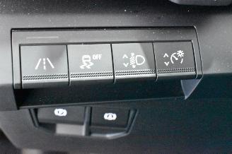 Renault Mégane EV40 B.C. Equilibre picture 28
