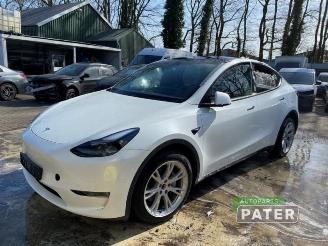 Purkuautot passenger cars Tesla Model Y Model Y (5YJY), SUV, 2019 Long Range,Performance 2023/11