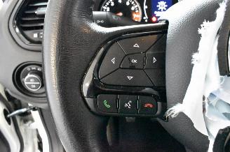 Jeep Renegade 1.6 E-Torq Night E 2 picture 33