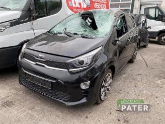 Sloopauto Kia Picanto Picanto (JA), Hatchback, 2017 1.0 12V 2019/5