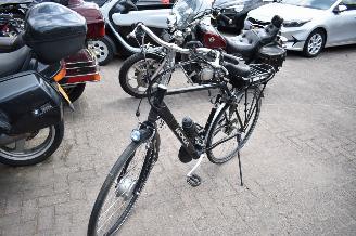 Koga-Miyata   picture 4