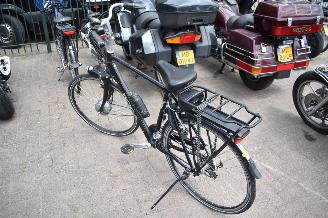 Koga-Miyata   picture 3
