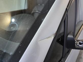 Volkswagen Caddy 2.0 TDI MODIFIED PARTITION WALL picture 15