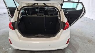 Ford Fiesta 1.0 EcoB. Titanium picture 13