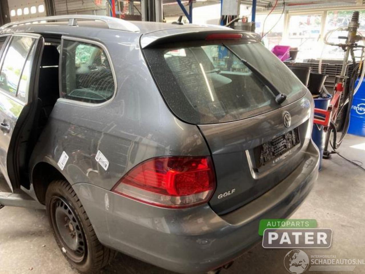 Volkswagen Golf Golf VI Variant (AJ5/1KA), Combi, 2009 / 2013 1.4 TSI 122 16V