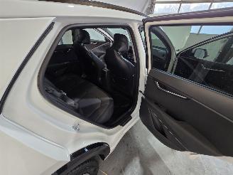 Kia Niro 1.6 GDI Hybrid Executiveline picture 21