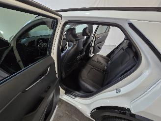 Kia Niro 1.6 GDI Hybrid Executiveline picture 24