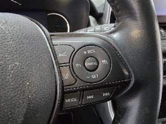 Toyota Rav-4 2.5 Hybrid AWD Dyn. picture 34