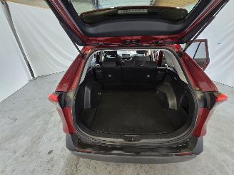 Toyota Rav-4 2.5 Hybrid AWD Dyn. picture 21