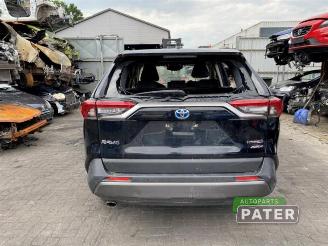 Toyota Rav-4 RAV4 (A5), Terreinwagen, 2018 2.5 Hybrid 16V AWD picture 6