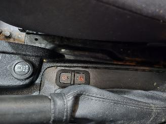 Fiat Doblo Cargo 1.3 M-Jet Maxi picture 27