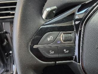 Peugeot 3008 1.6 HYbrid All P.Bns picture 31