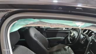 Volkswagen Golf 1.4 16V picture 30
