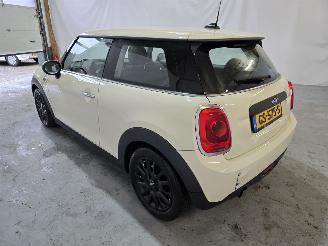 Mini One 1.2 Salt picture 5