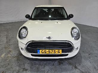 Mini One 1.2 Salt picture 2