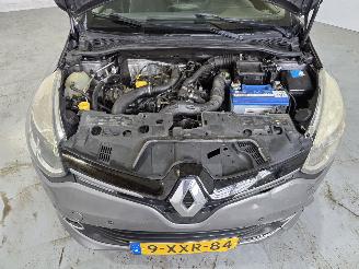 Renault Clio 0.9 TCe NightenDay picture 13